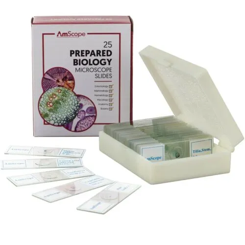 AmScope 25pc Prepared Glass Microscope Slides in Plastic Case with Plant, Fungus, Insect and Mammal Specimens