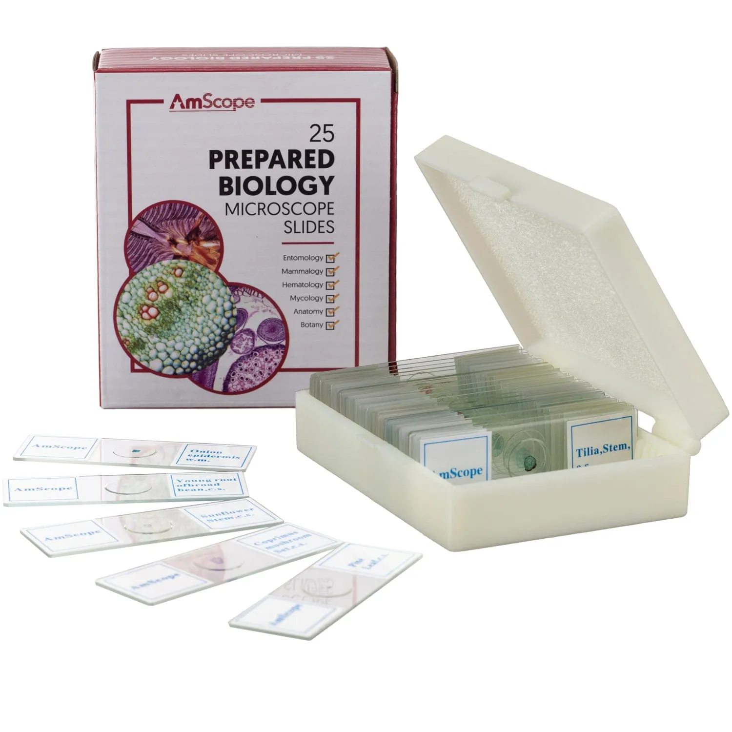 AmScope 25pc Prepared Glass Microscope Slides in Plastic Case with Plant, Fungus, Insect and Mammal Specimens
