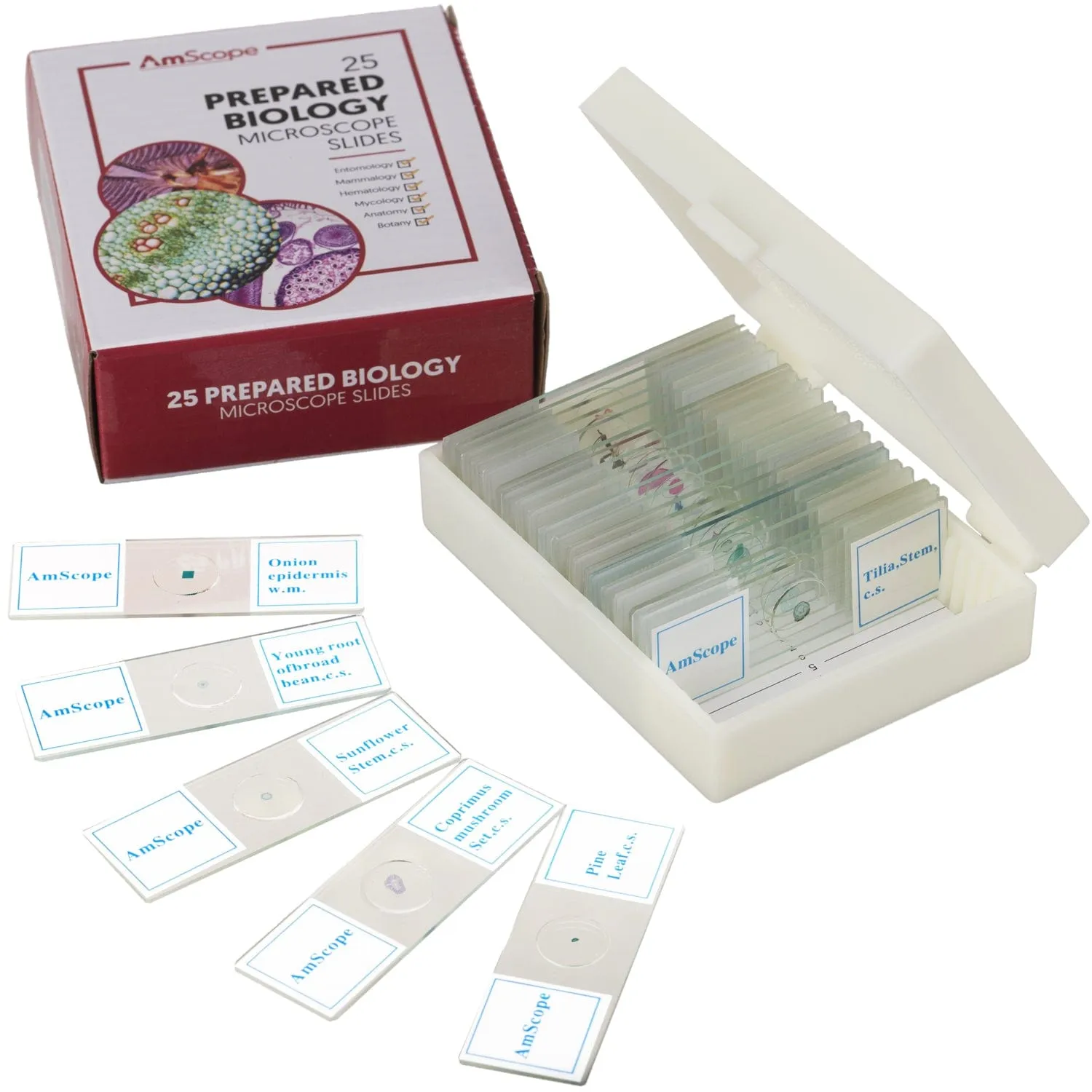 AmScope 25pc Prepared Glass Microscope Slides in Plastic Case with Plant, Fungus, Insect and Mammal Specimens