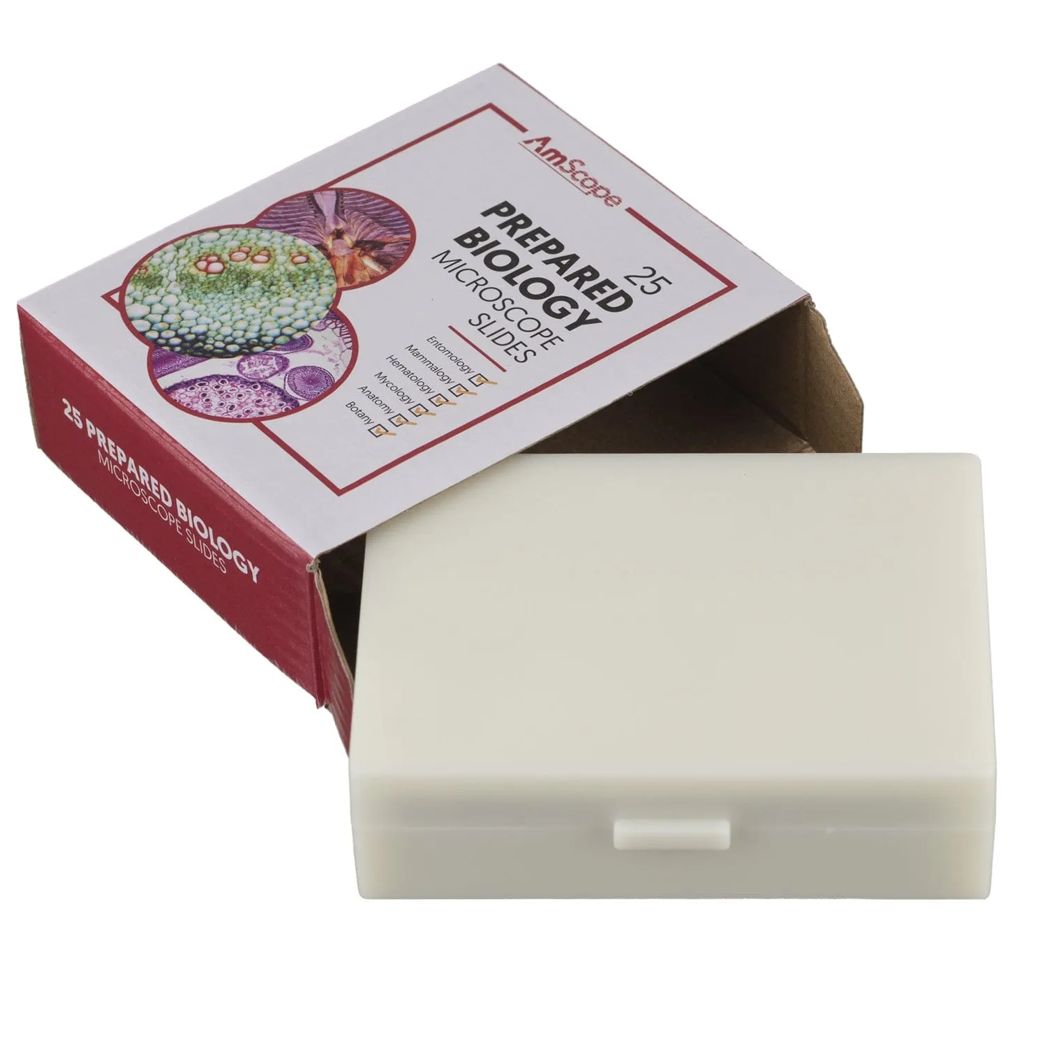 AmScope 25pc Prepared Glass Microscope Slides in Plastic Case with Plant, Fungus, Insect and Mammal Specimens