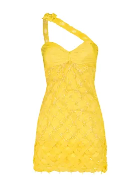 Flora Embellished Silk Mini Dress